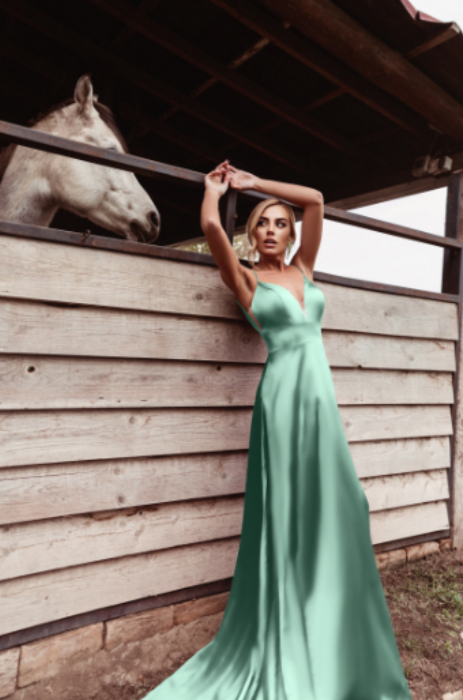 Tina Holly v-neck ball gown